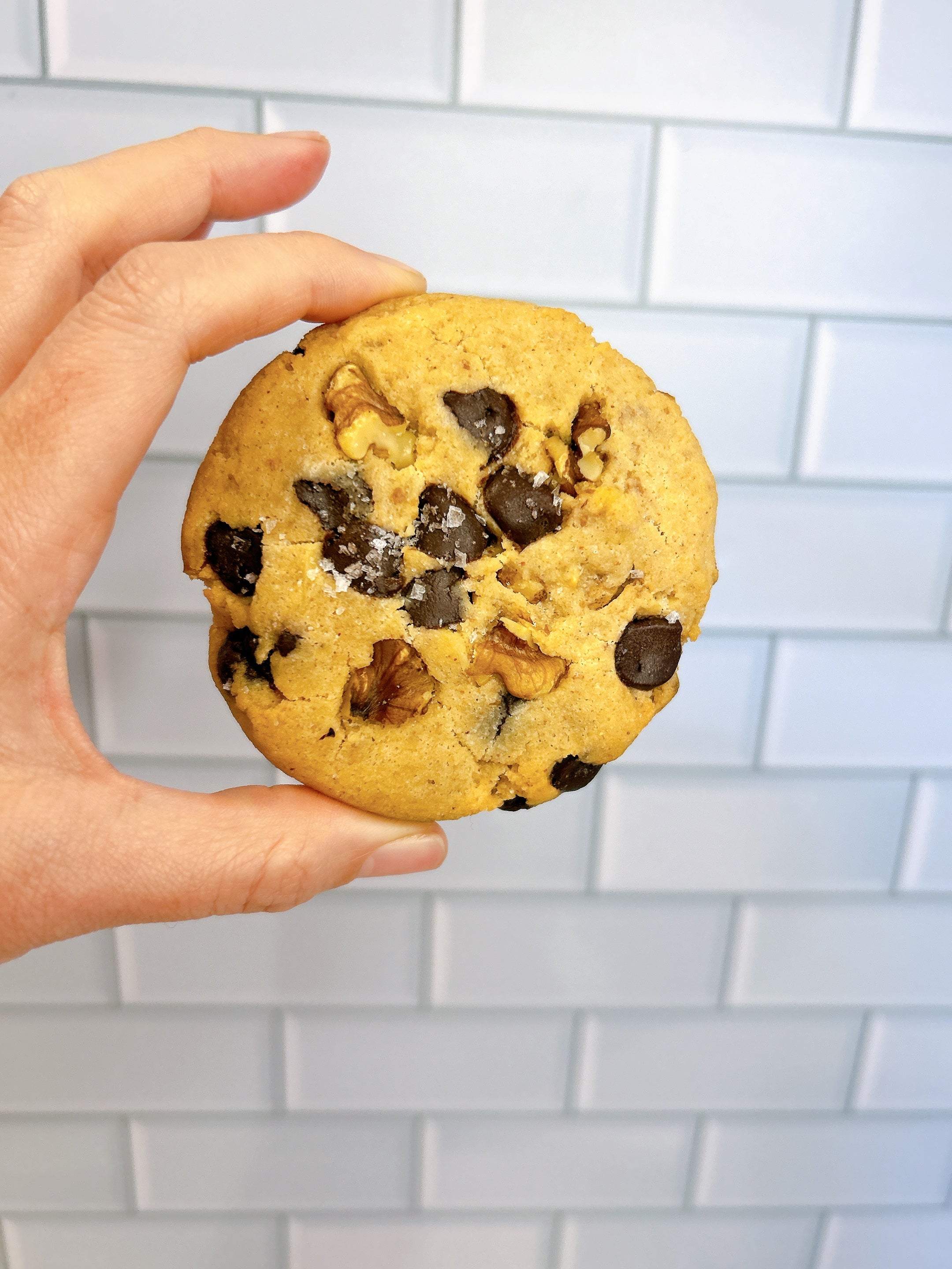 walnut chocolate chip protein cookie, 13g