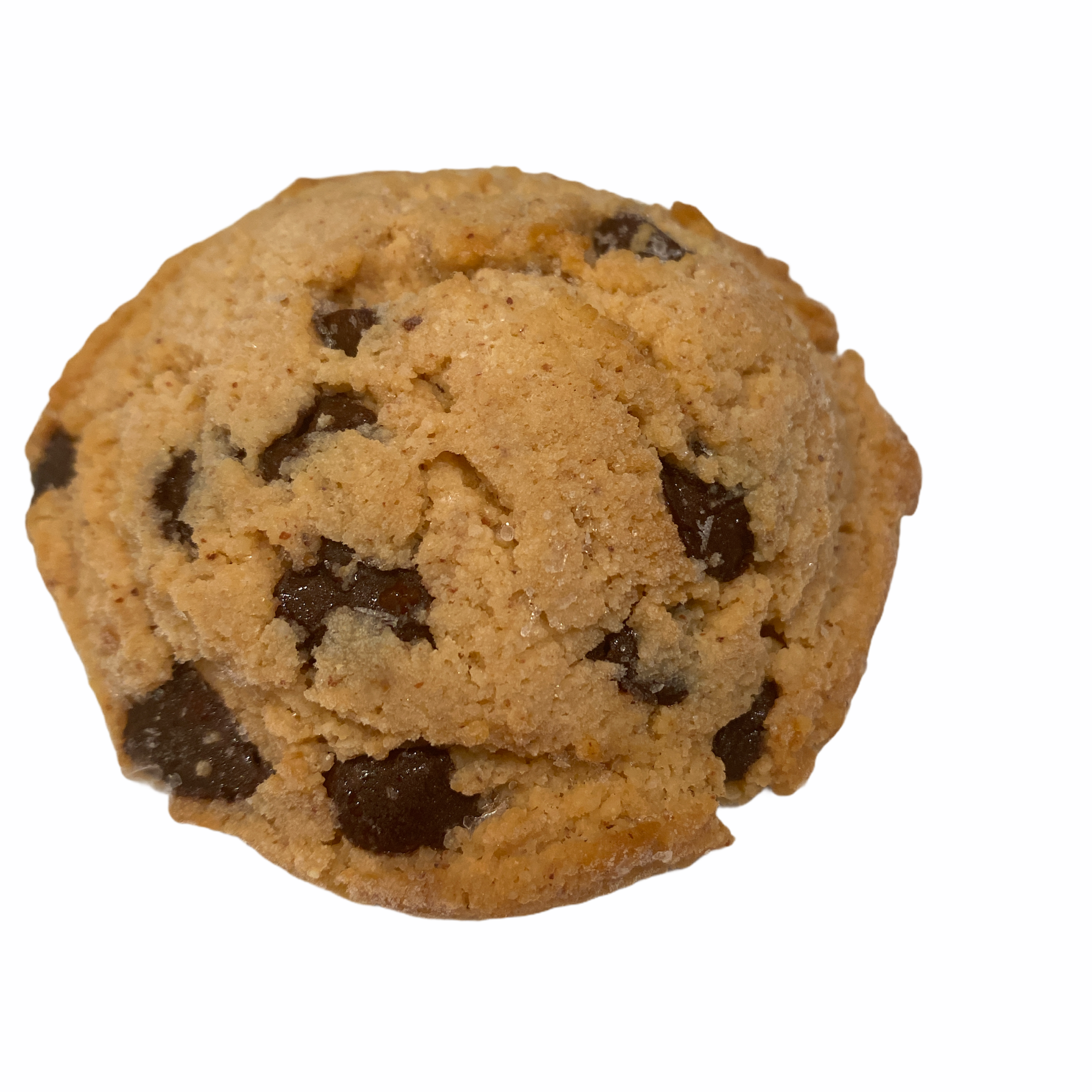 chocolate chip cookie